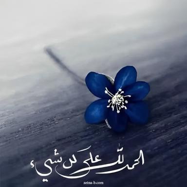 مريم علي محمد احمد