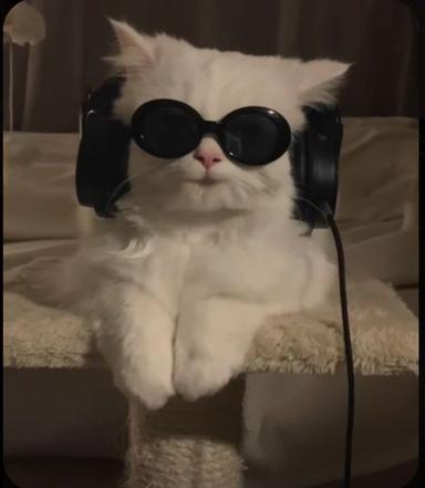 سوسو العنزي