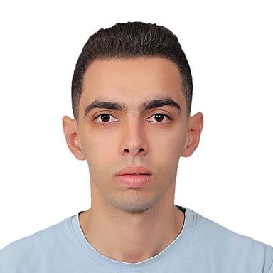 أنس عادل نصر