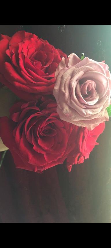 إمتنان منديلي