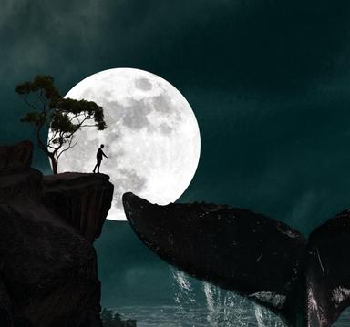 على محمد فتحى